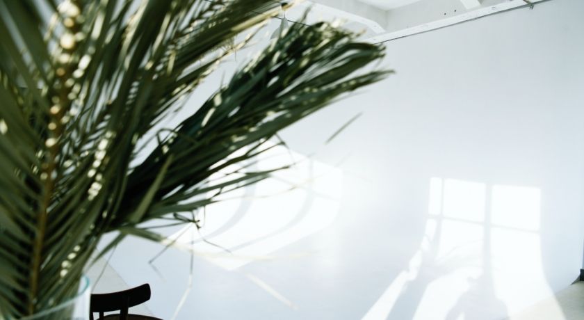 Аренда фотостудии  The Moscow Studio Зал Green в Москве | Фото 