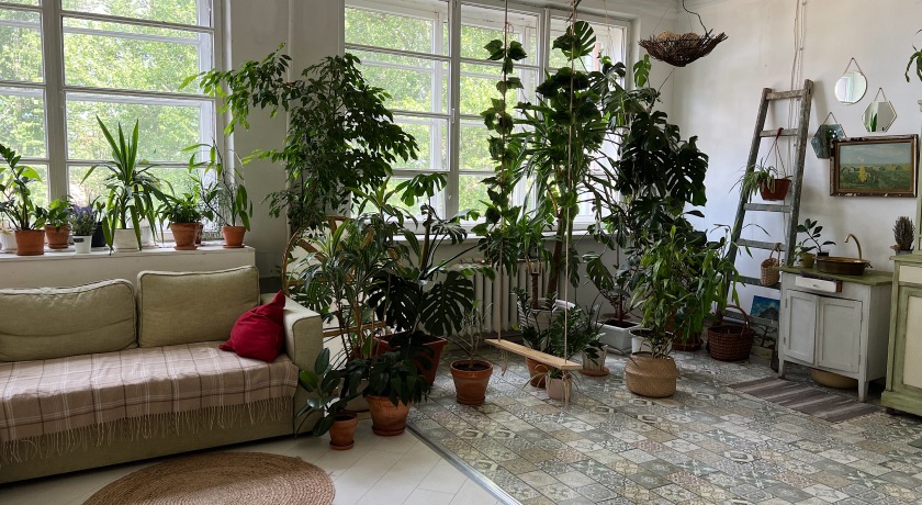 Изображение статьи