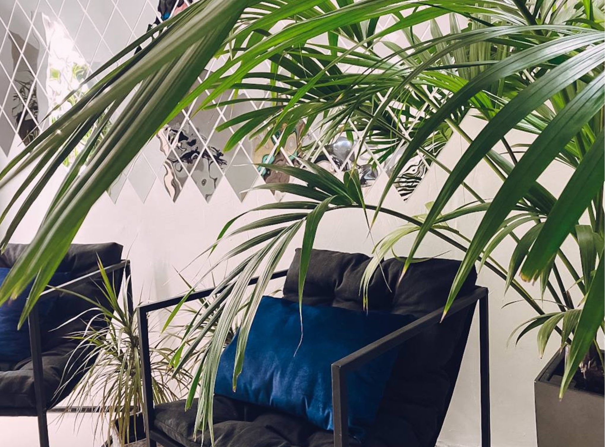 Изображение статьи