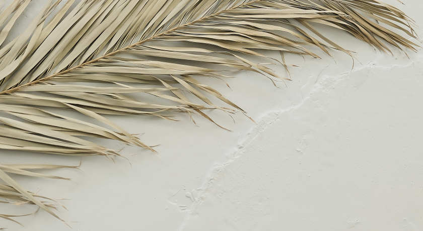 Аренда фотостудии  WHYNOT Зал Trend  в Екатеринбурге | Фото 