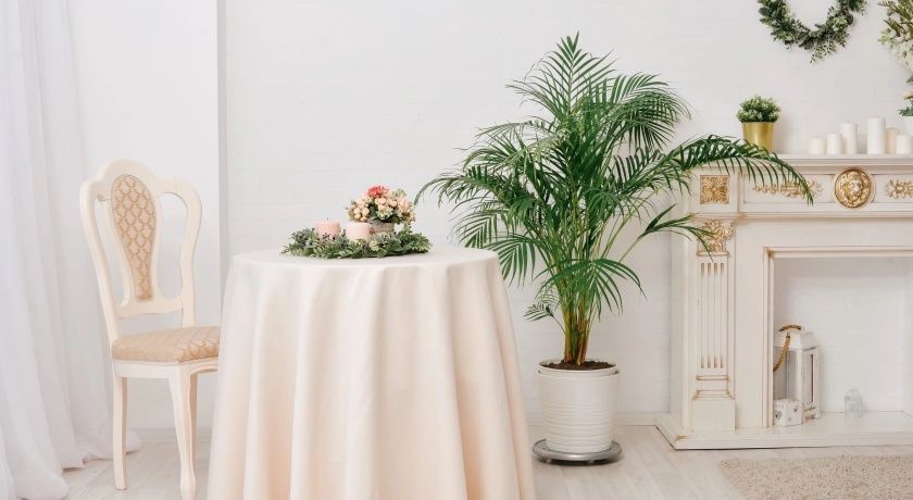 Аренда фотостудии Белый Кролик Зал Семейный  В Омске | Фото 