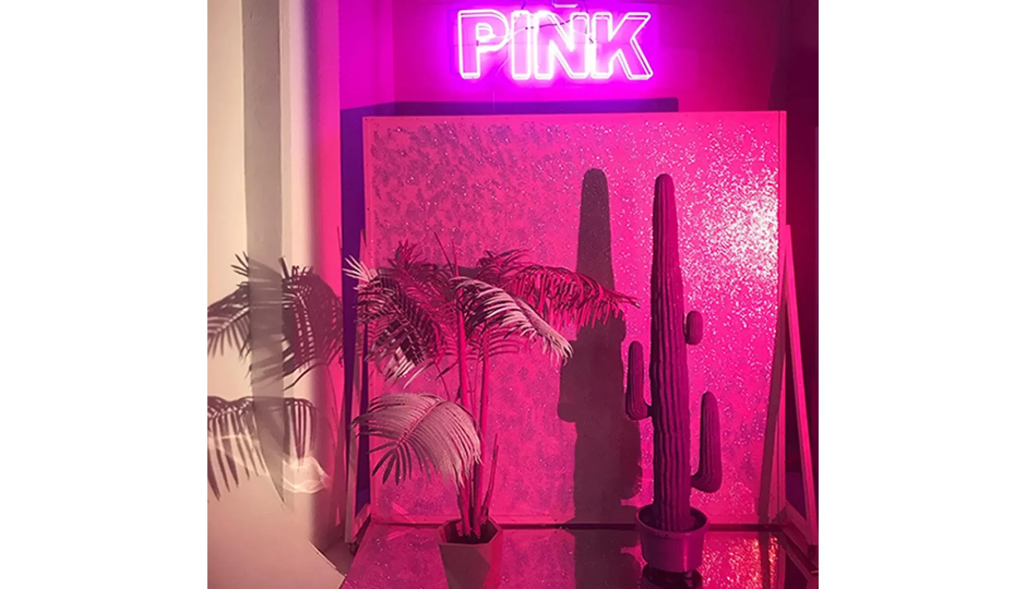 Аренда фотостудии PINK PHOTO STUDIO Зал LOFT  в Москве | Фото 