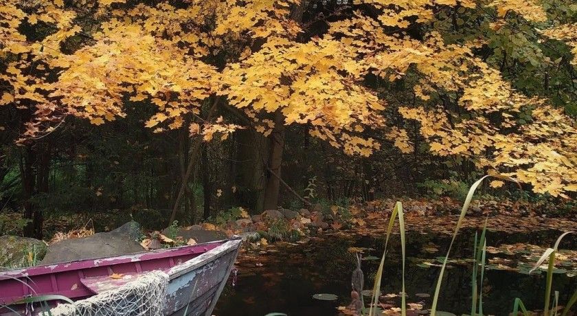 Аренда фотостудии Домик в лесу Зал Лодка на пруду в Москве | Фото 