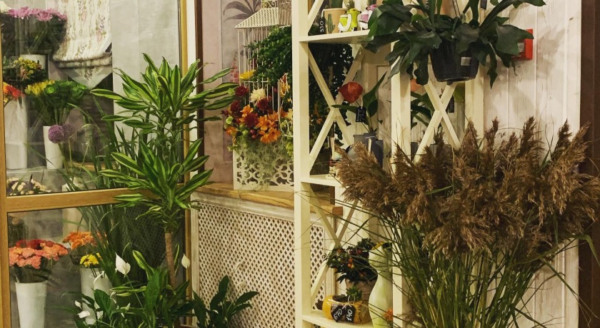 Аренда фотостудии МираФлорес Зал МираФлорес в Санкт-Петербурге | Фото 