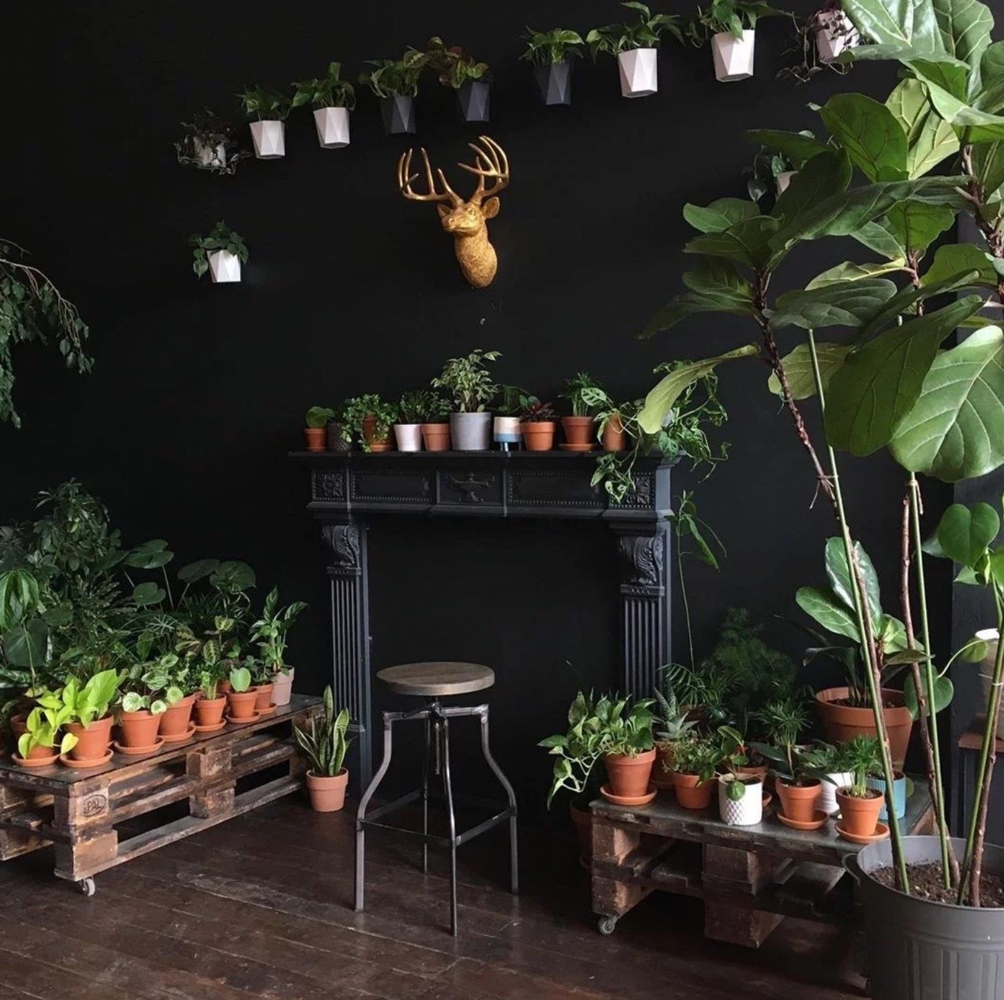 Аренда фотостудии Ботаника Зал Ботаника в Москве | Фото 