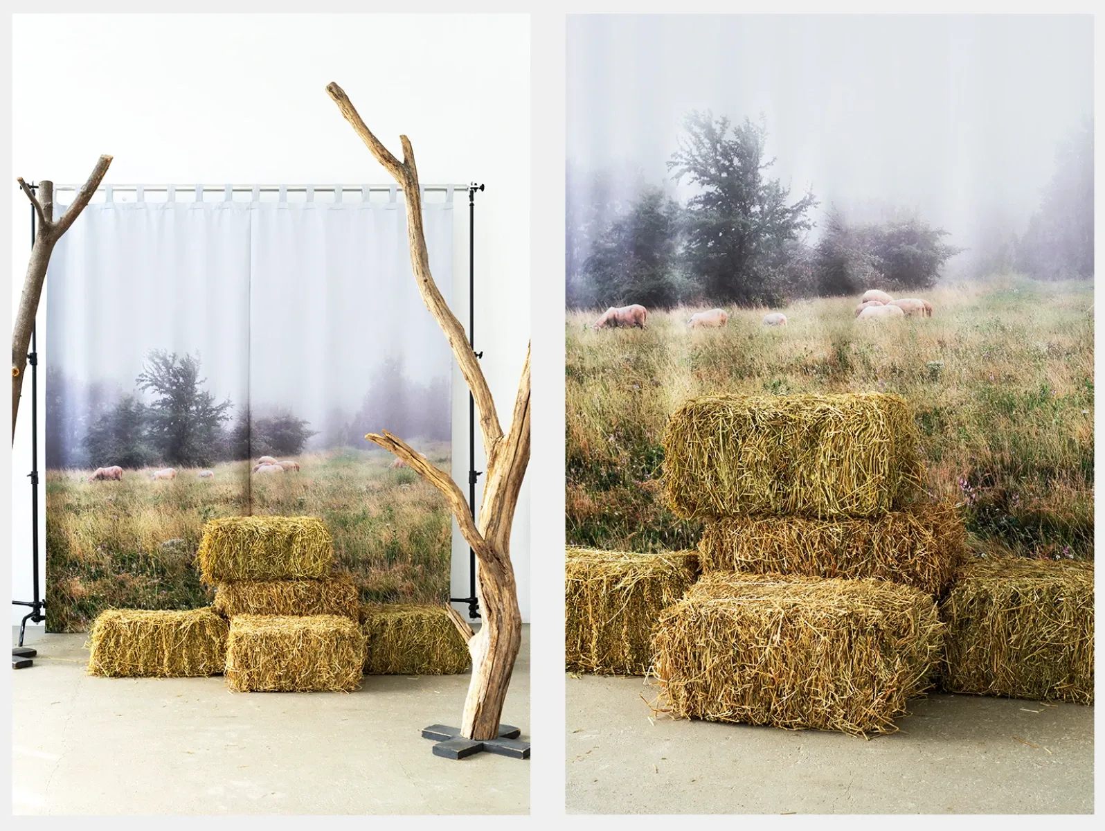 Аренда фотостудии 0603st на Марьина Роще Зал Forest в Москве | Фото 