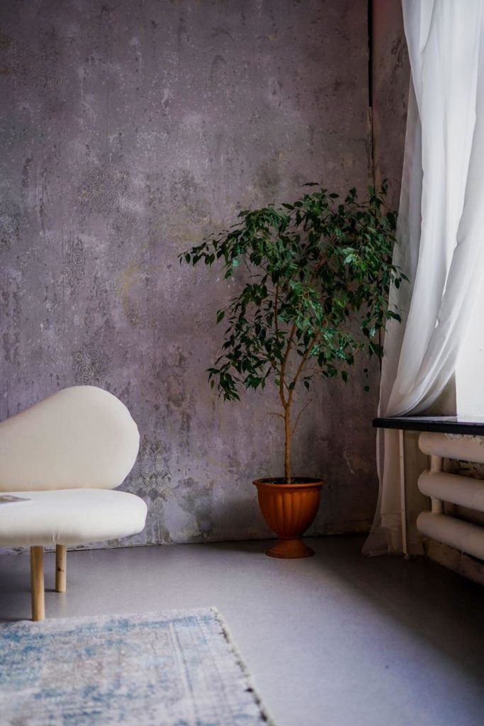 Аренда фотостудии Фотостудия "13х13" Зал Зал “Barhat” в Бресте | Фото 