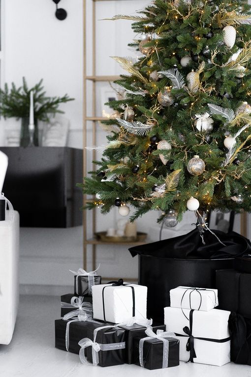 Аренда фотостудии Феломена Зал White в Минске | Фото 