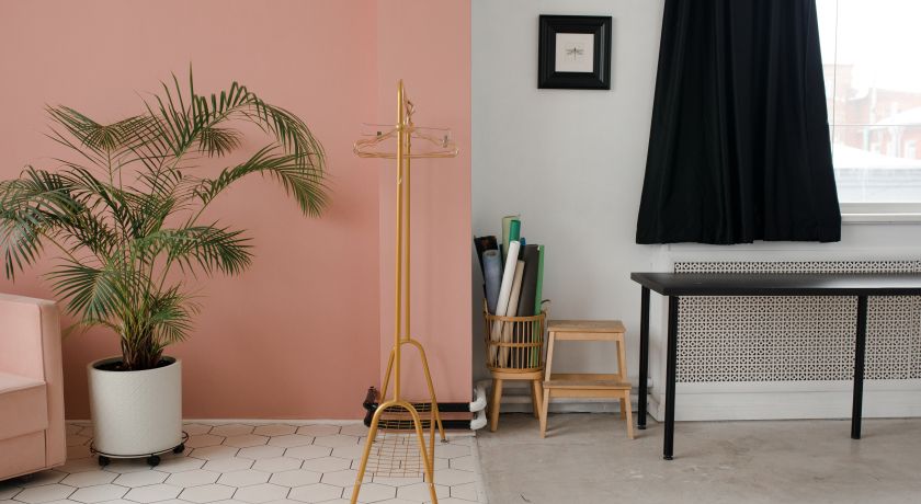 Аренда фотостудии луук буук Зал «МАРКСА 18/10» В Омске | Фото 