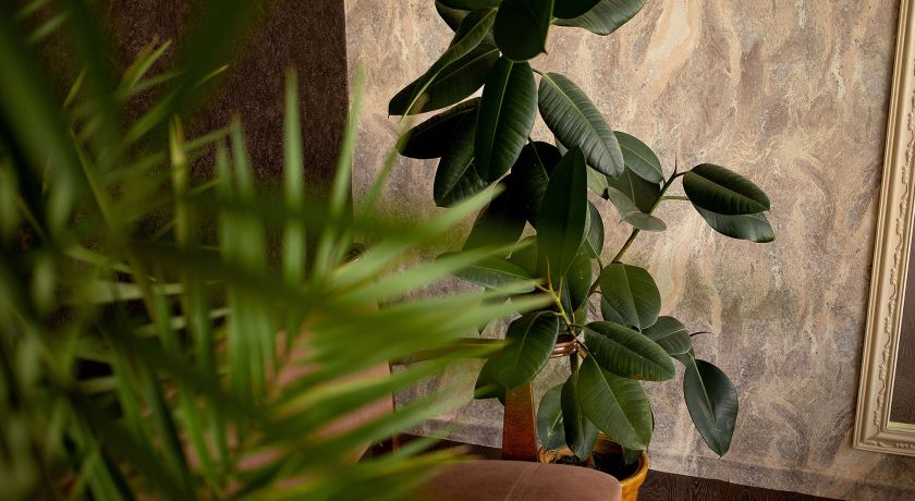 Аренда фотостудии ЛУК Зал Основной в Москве | Фото 