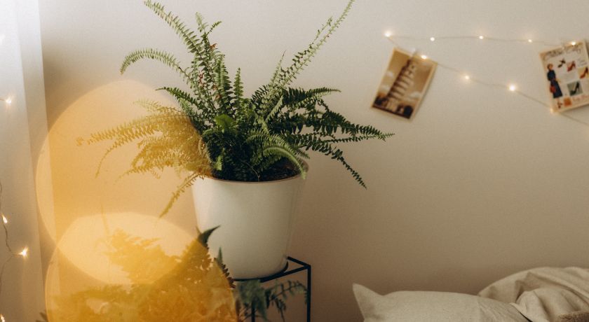 Аренда фотостудии Sunrise place Зал CONTENT  В Иркутске | Фото 