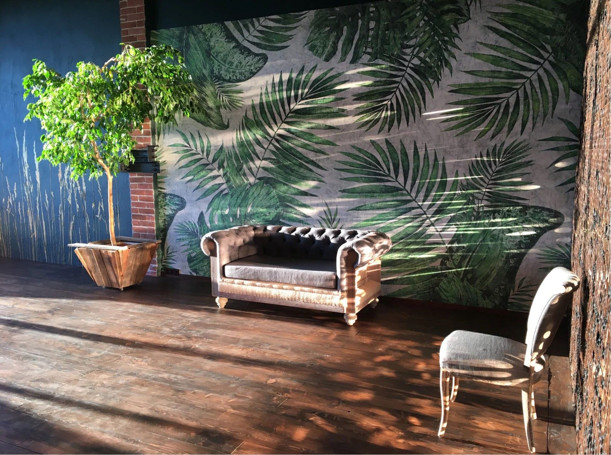 Аренда фотостудии Ботаника Зал Ботаника в Москве | Фото 