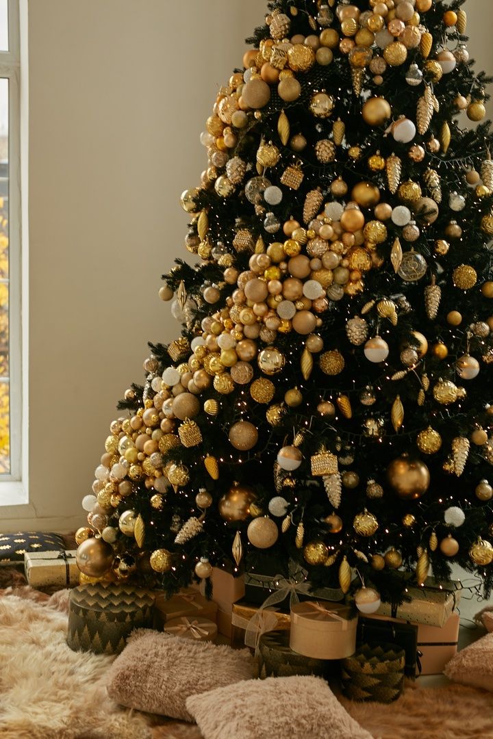 Аренда фотостудии  My Place Зал BLOSSOM  в Воронеже | Фото 