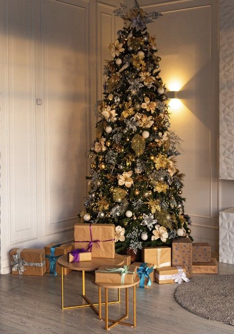 Аренда фотостудии Diva studio Зал PLAZA в Минске | Фото 