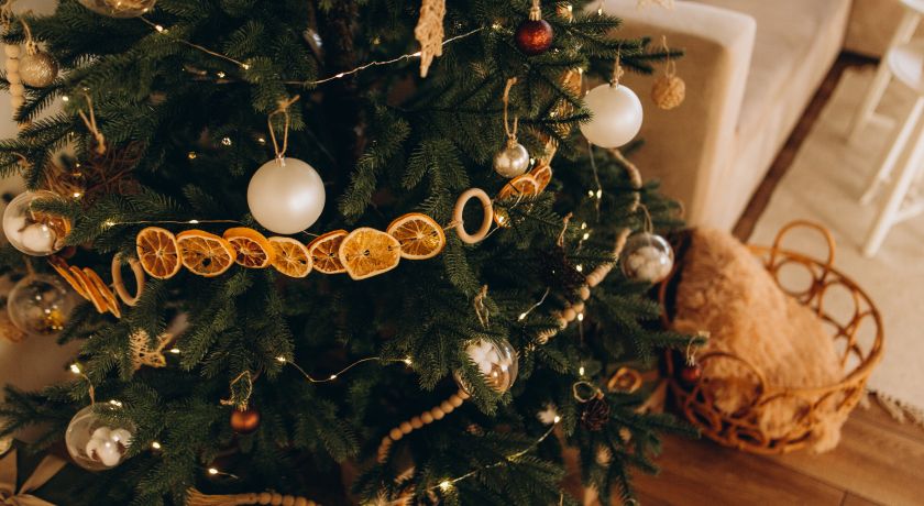 Аренда фотостудии Sunrise place Зал COZY  В Иркутске | Фото 