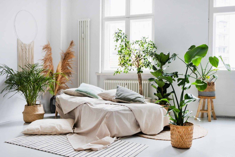 Wynajem studia fotograficznego Chromatic Studio Studio Chromatic w Poznaniu | Foto 