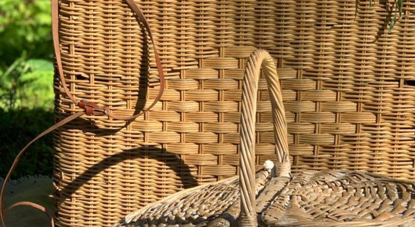 Аренда фотостудии Домик в лесу Зал Ретро пикник в Москве | Фото 