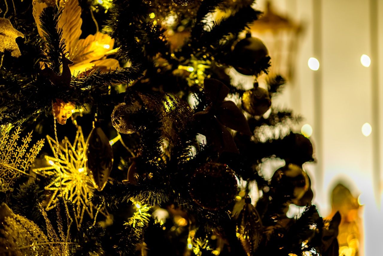 Аренда фотостудии Тринити Зал Основной  в Стерлитамаке | Фото 