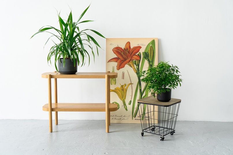 Аренда фотостудии LOFT Зал 9 В Ижевске | Фото 