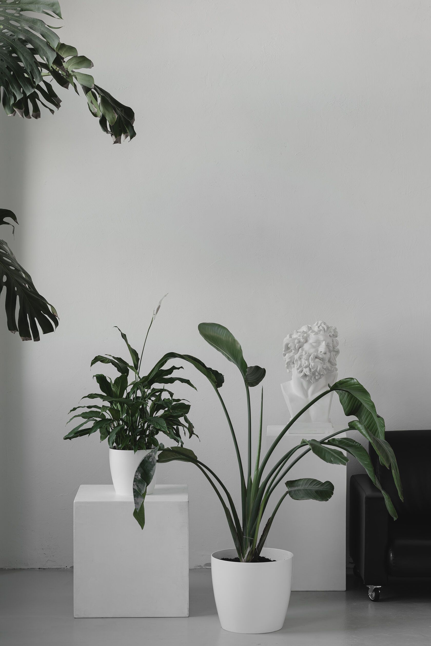 Аренда фотостудии Фотостудия BLENDA Зал VOGUE в Минске | Фото 