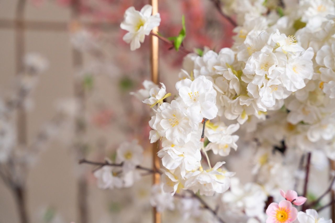 Аренда фотостудии Абажур Зал MIST  В Саратове | Фото 