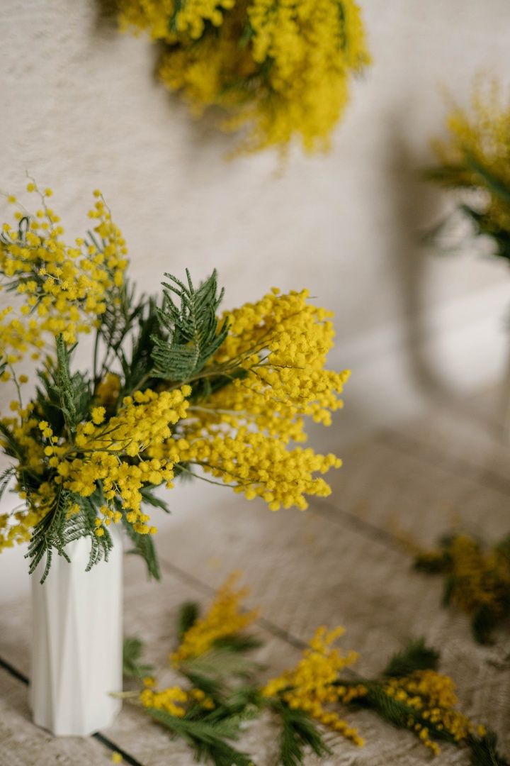 Аренда фотостудии Константа Фэмили Зал Карамель  В Белгороде | Фото 