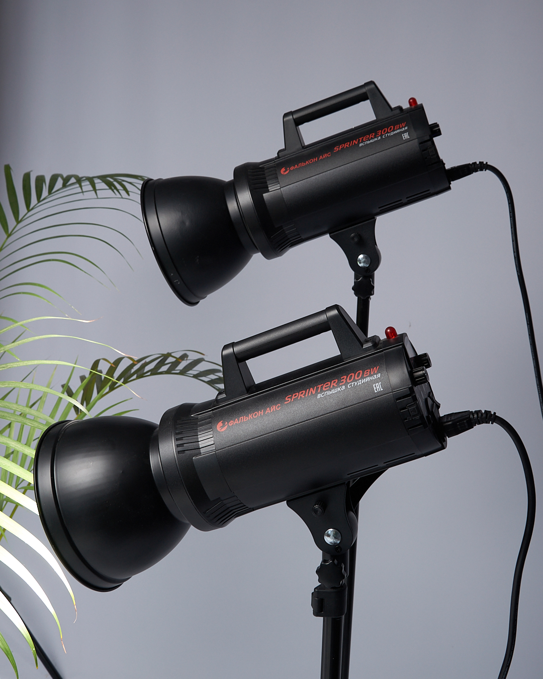 Аренда фотостудии Импульс Зал Основной  в Екатеринбурге | Фото 