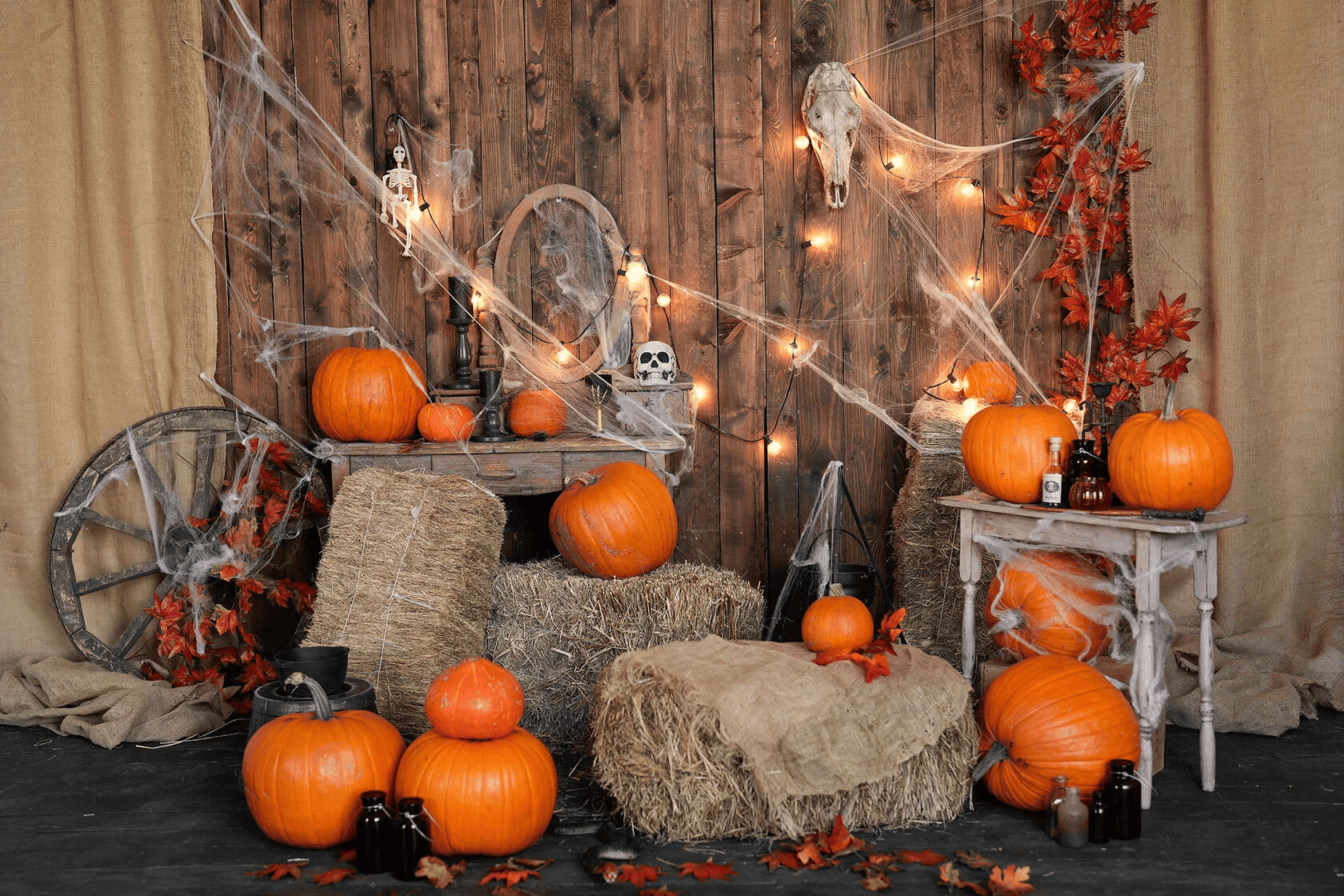 Аренда фотостудии DraganStudio Зал LOFT в Москве | Фото 