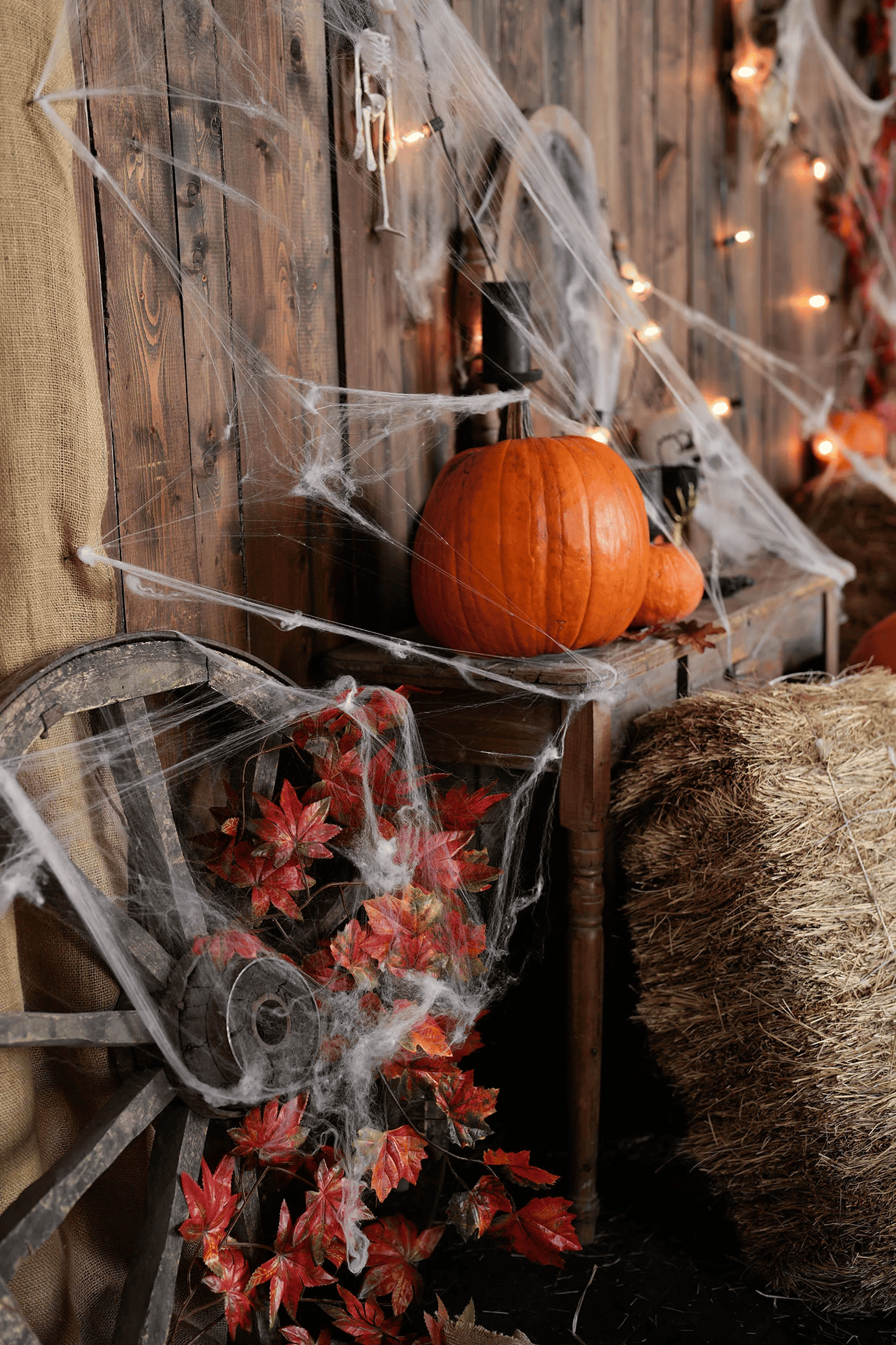 Изображение статьи