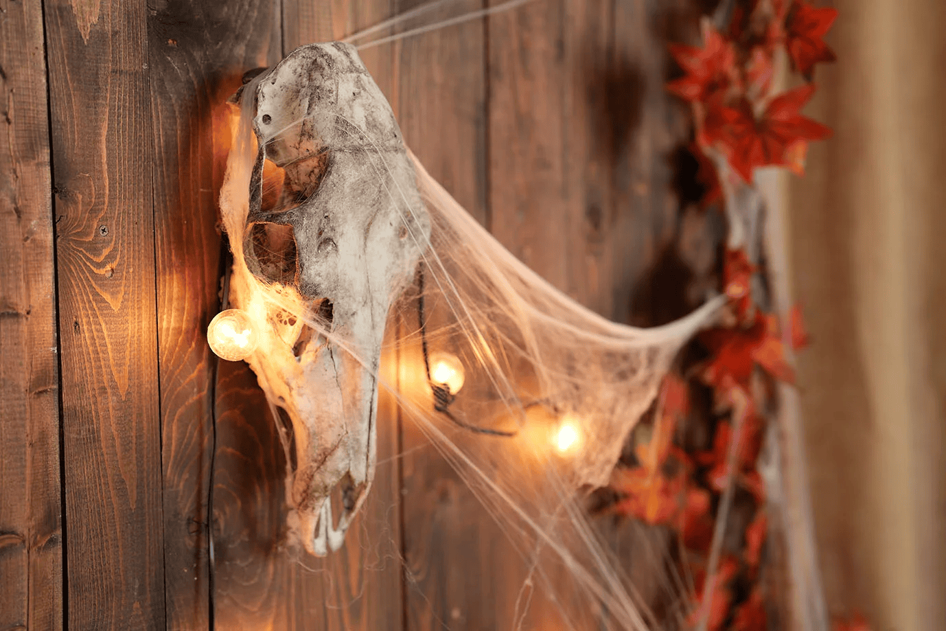 Аренда фотостудии DraganStudio Зал LOFT в Москве | Фото 