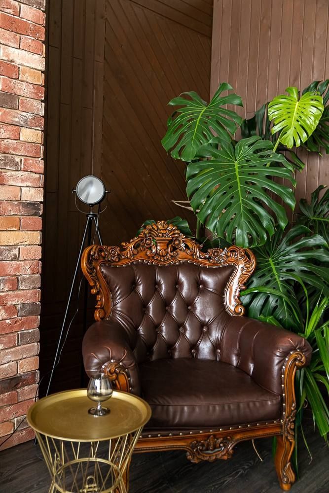 Аренда фотостудии Сhocolate Зал Библиотека  в Барнауле | Фото 