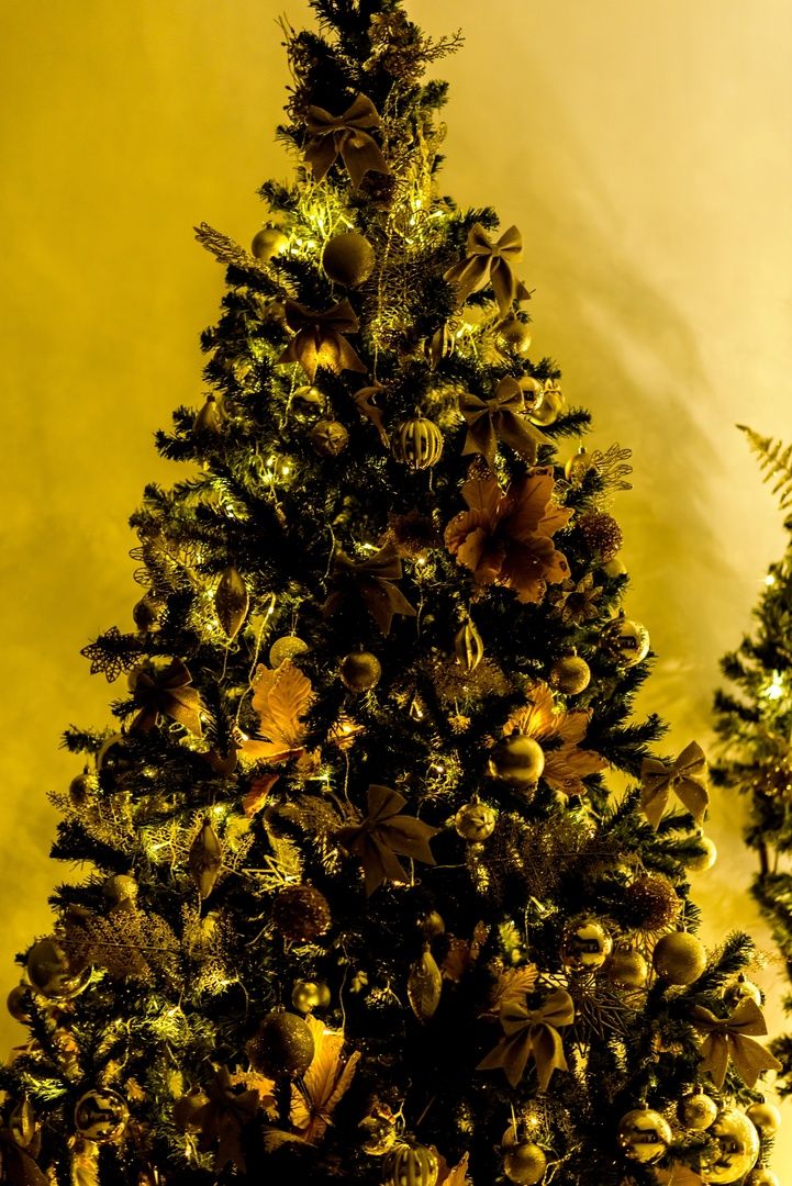 Аренда фотостудии Тринити Зал Основной  в Стерлитамаке | Фото 