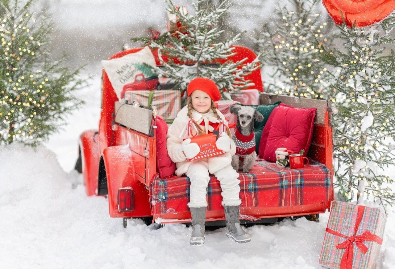 Аренда фотостудии Зоофотостудия Зал Красный пикап в Москве | Фото 