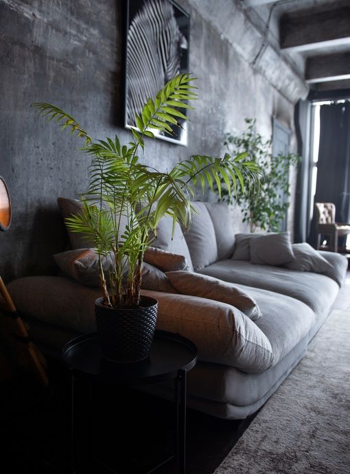 Изображение статьи