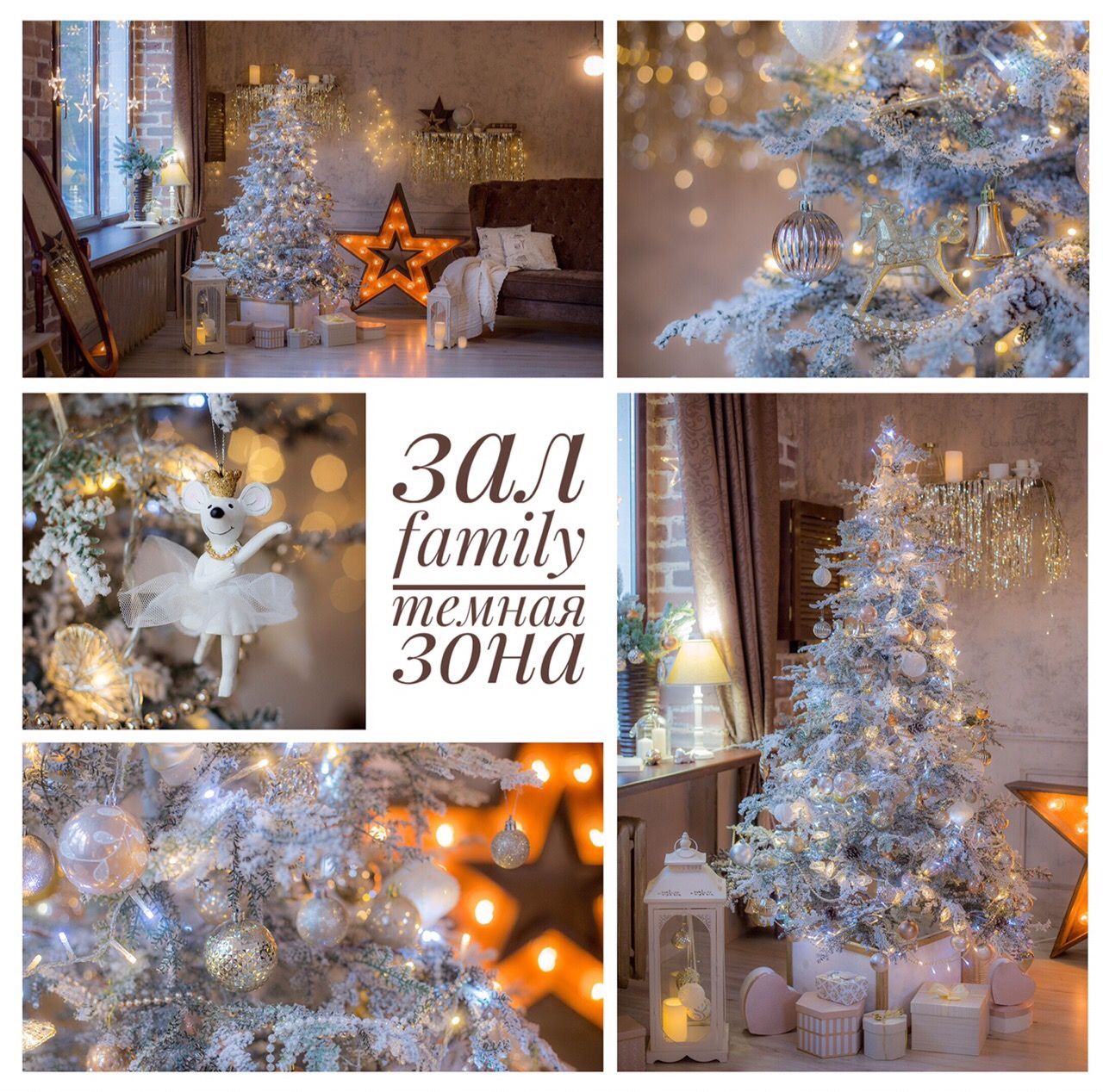 Аренда фотостудии Рай Зал Family  в Волгограде | Фото 