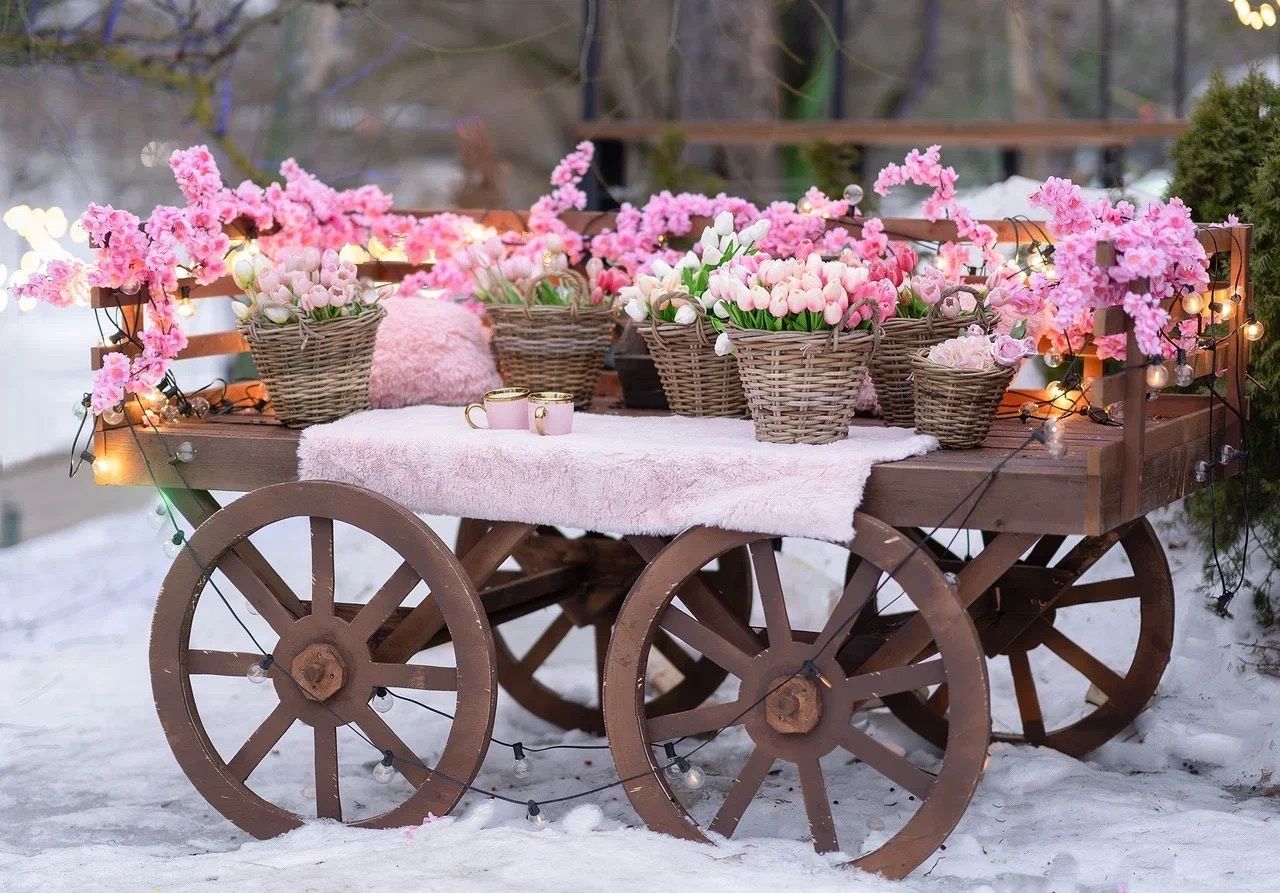Аренда фотостудии Зоофотостудия Зал Телега в Москве | Фото 