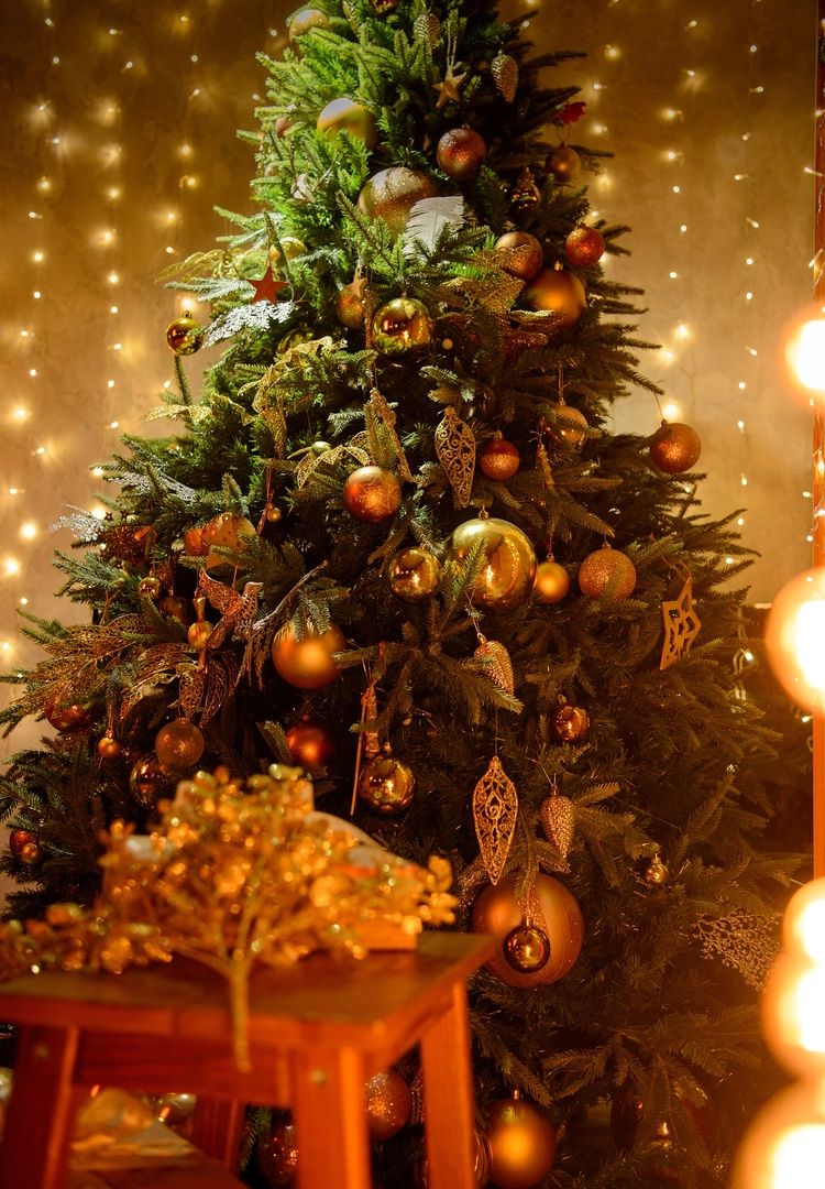 Аренда фотостудии ARTA Зал LOFT  В Мурманске | Фото 