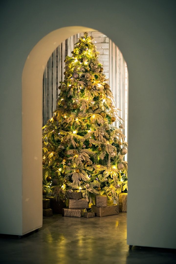 Изображение статьи