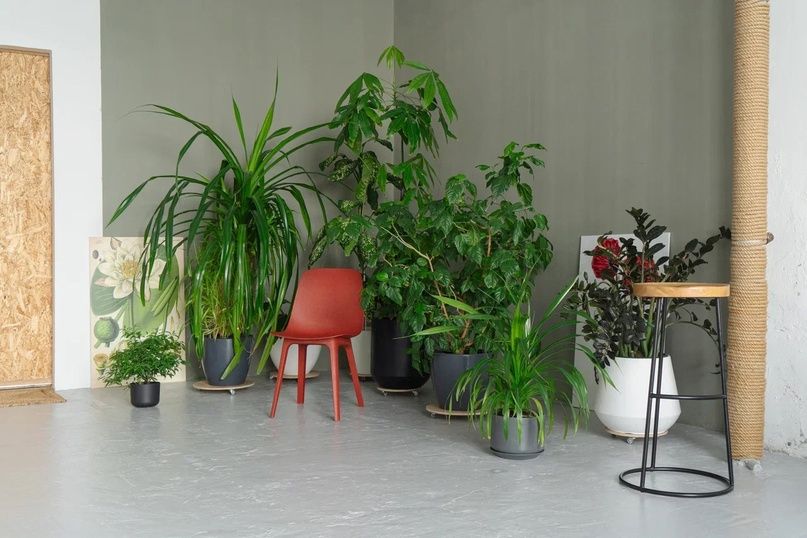 Аренда фотостудии LOFT Зал 9 В Ижевске | Фото 