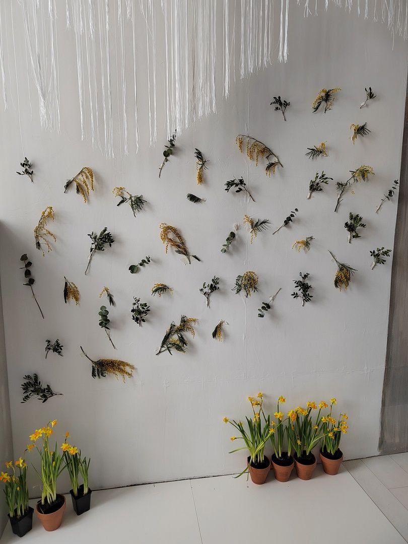 Изображение статьи