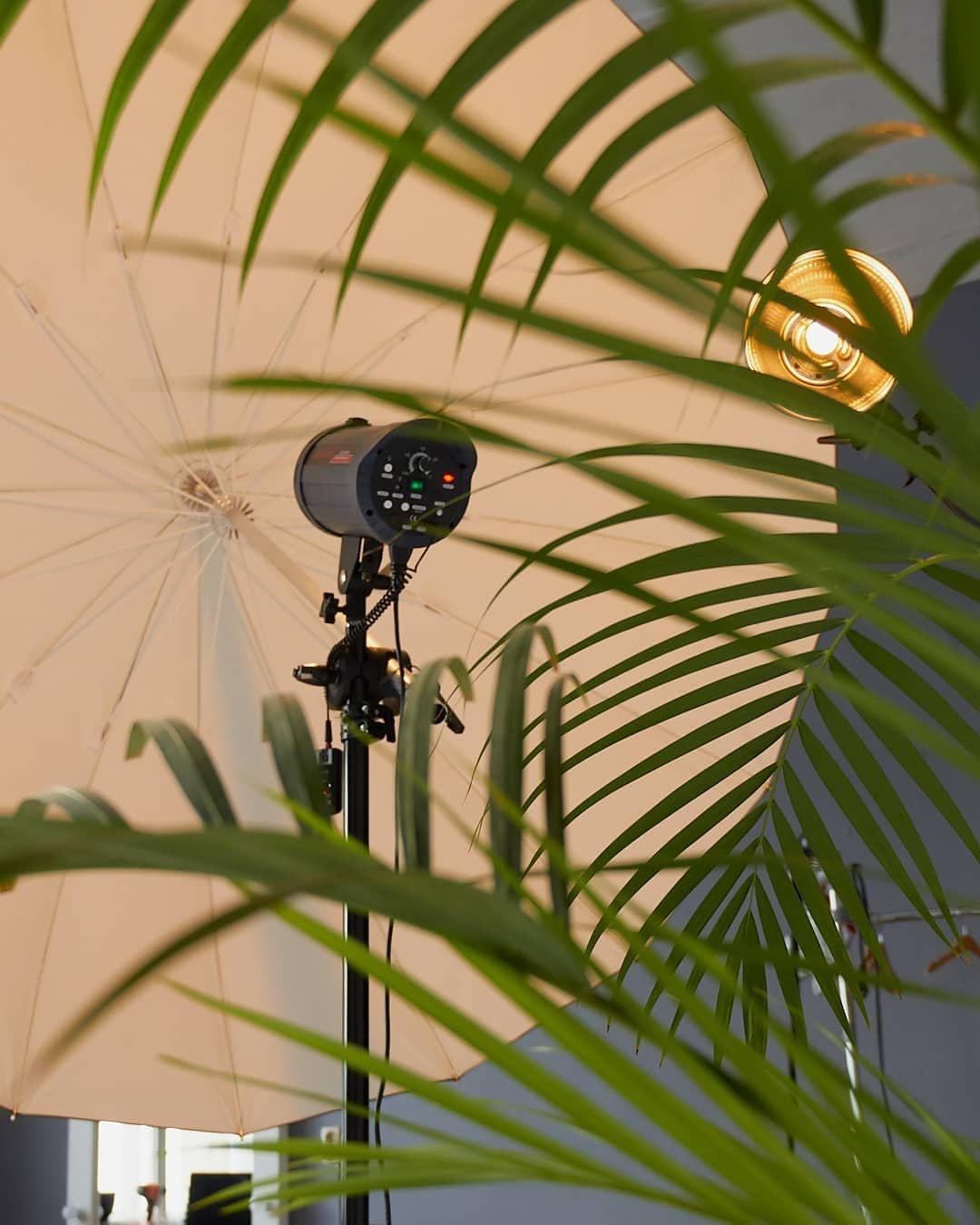 Аренда фотостудии Импульс Зал Основной  в Екатеринбурге | Фото 