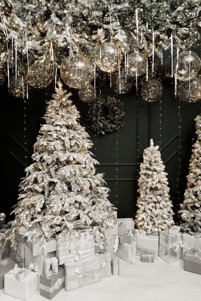 Аренда фотостудии Royal Studio РОЯЛ в Новосибирске | Фото 