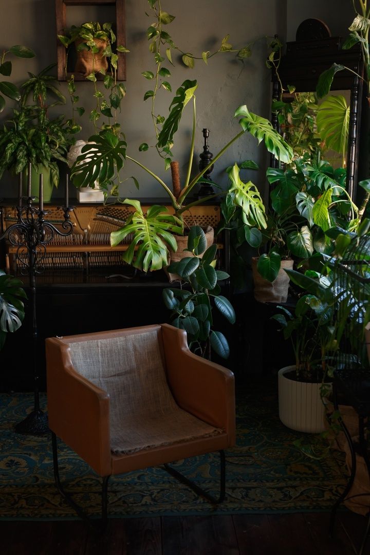 Аренда фотостудии Kalinka Зал Основной  В Белгороде | Фото 