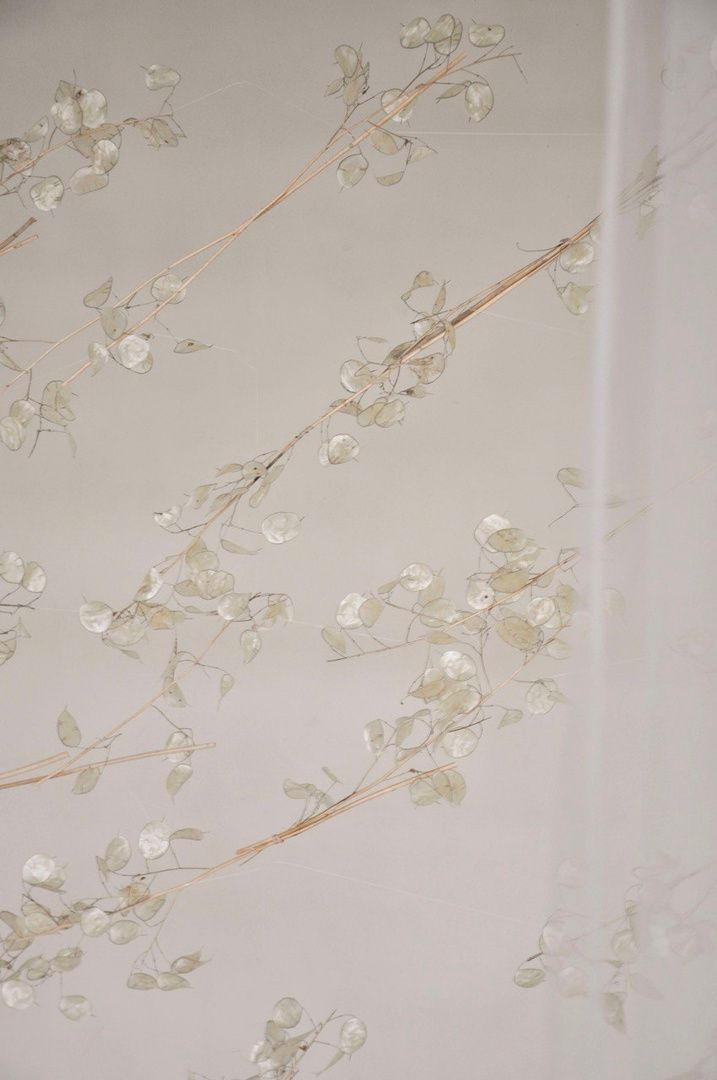 Аренда фотостудии Pampasstudio Зал Основной  В Калининграде | Фото 