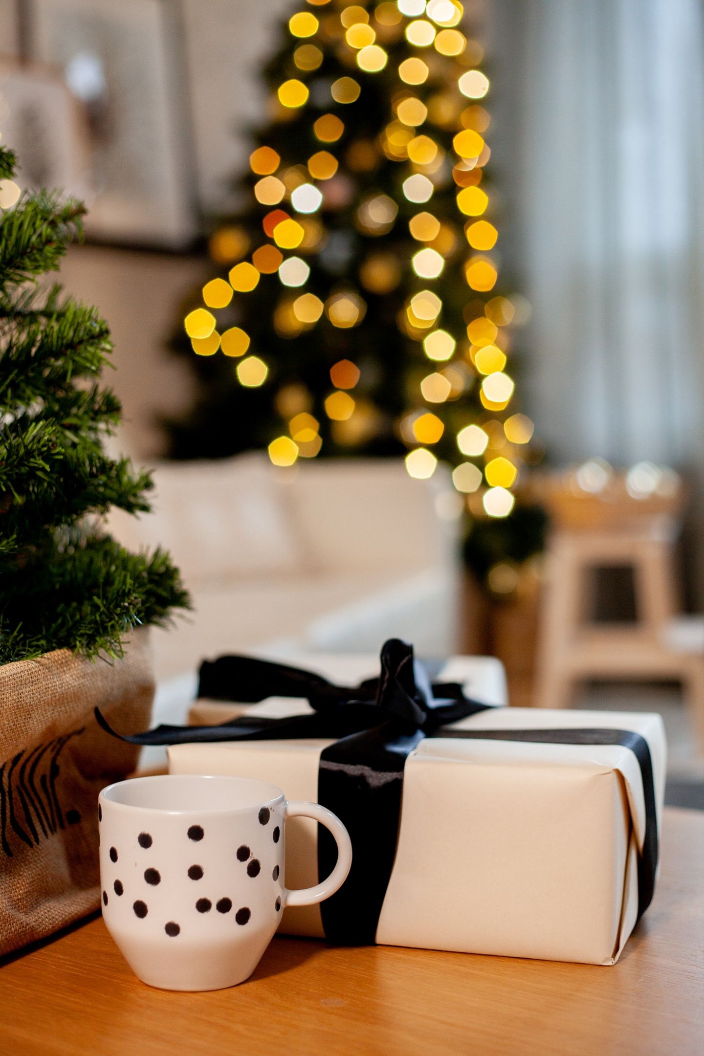 Аренда фотостудии PUDRA Зал Шайн в Нижнем Новгороде | Фото 