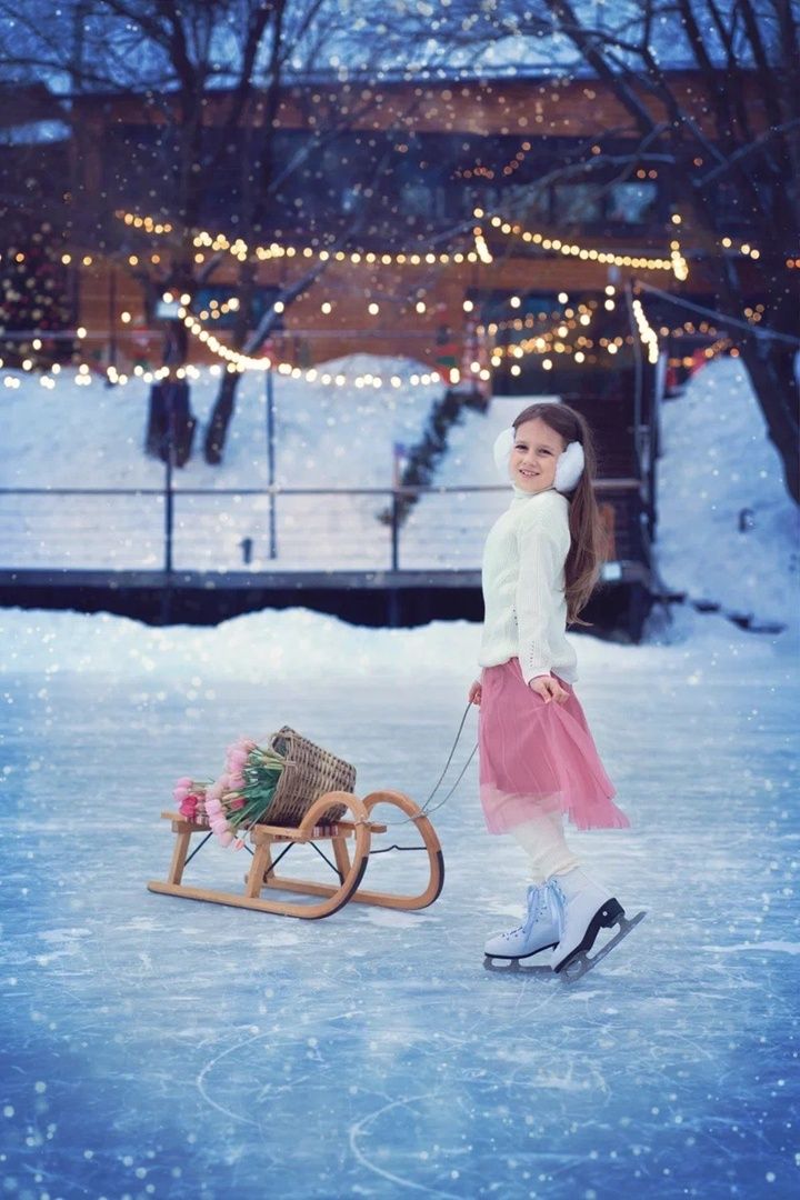 Аренда фотостудии Зоофотостудия Зал Каток в Москве | Фото 