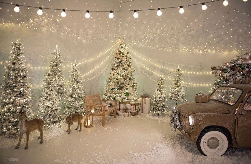 Аренда фотостудии Z STUDIO Зал Сказочный в Новосибирске | Фото 