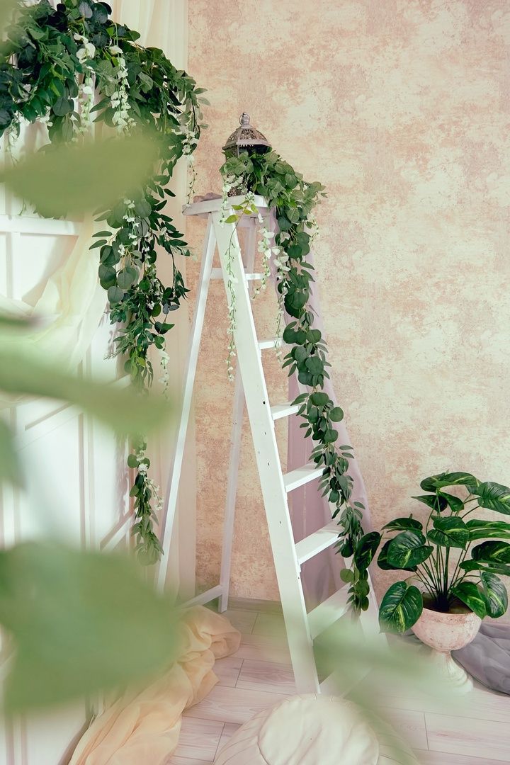 Аренда фотостудии Атмосфера Курган Зал Весна-лето В Кургане | Фото 