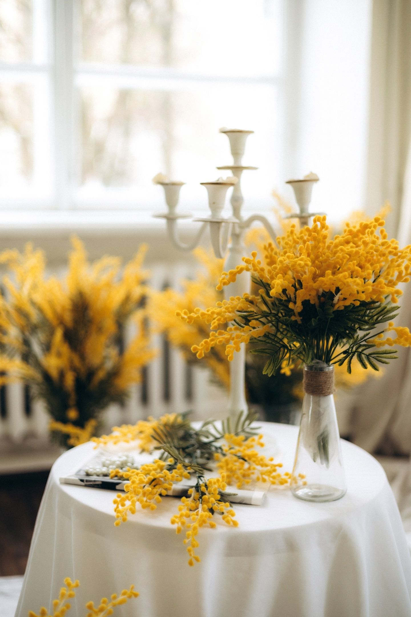 Аренда фотостудии Птичка Зал Основной  в Смоленске | Фото 