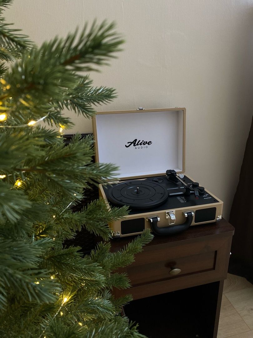 Аренда фотостудии Memories Light  В Омске | Фото 